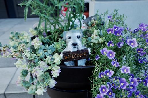 玄関を彩る花とWELCOMEサイン 玄関を彩る花とWELCOMEサインの写真