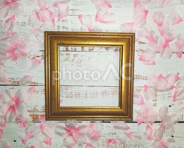 桜の花びらとフォトフレーム 桜の花びら,花びら,桜吹雪の写真素材