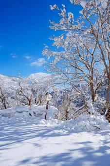 250320秋山郷清水川原、結東 250320秋山郷清水川原、結東の写真