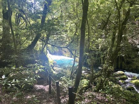 水色に光る湖 水色に光る湖の写真
