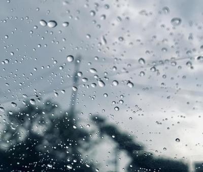 雨の日の傘の向こう側 雨の日の傘の向こう側の写真