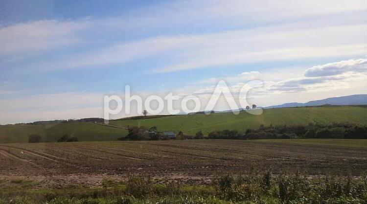 美瑛の風景 美瑛,北海道,風景の写真素材