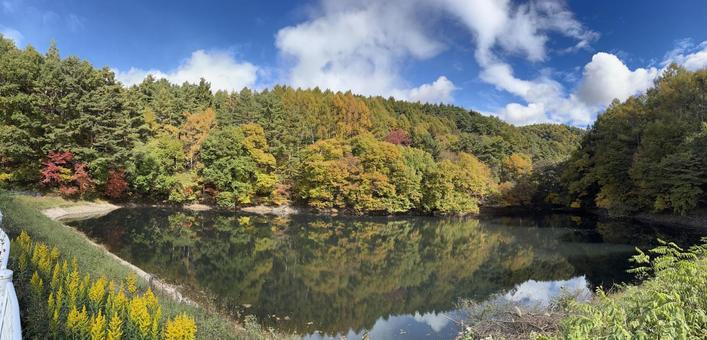 晩秋の大沢の堤の紅葉（パノラマ） 紅葉,大沢の堤,松本市の写真素材