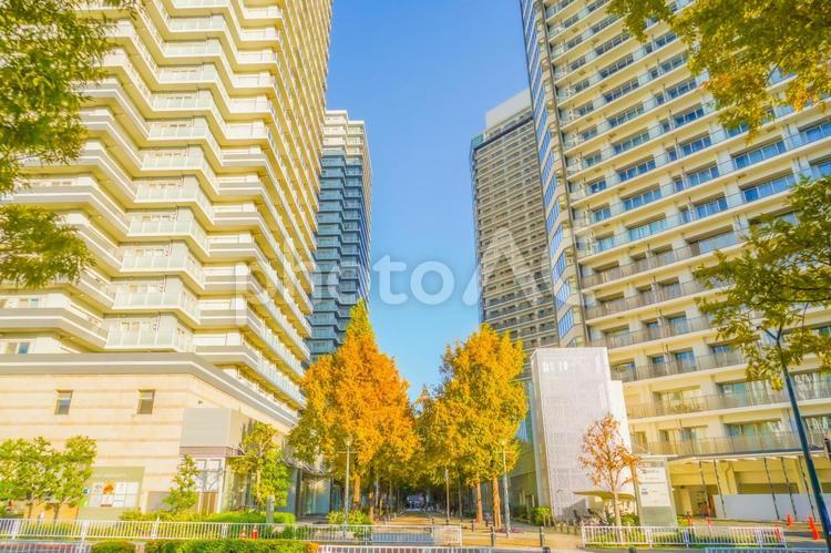 秋の横浜みなとみらい 横浜,みなとみらい,紅葉の写真素材
