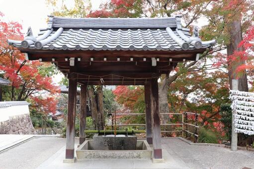 善峯寺　手水舎 善峯寺,手水舎,よしみねでらの写真素材