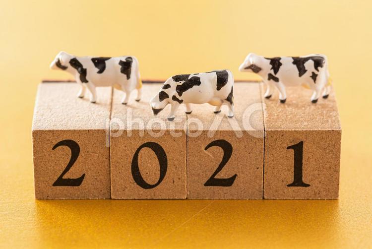 2021年のブロックと干支の牛 2021年,牛,十二支の写真素材