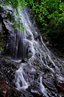 夏の秘境(京都府・霧降の滝) 夏の秘境(京都府・霧降の滝) 瀧,滝,霧降りの滝の写真素材