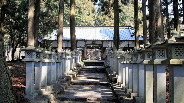山宮浅間神社参道と籠屋（こもりや） 神社,鳥居,参道の写真素材