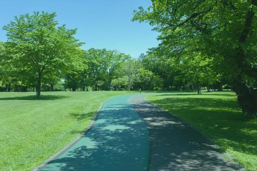 ランニングコース　緑の公園 ランニング,マラソン,ジョギングの写真素材