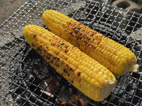 七輪で焼いたトウモロコシ 七輪で焼いたトウモロコシ とうもろこし,トウモロコシ,バーベキューの写真素材