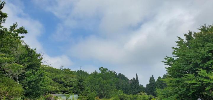 夏の山 夏の山の写真