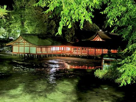 静けさ漂う夜の厳島神社 静けさ漂う夜の厳島神社 厳島神社,宮島,神社の写真素材