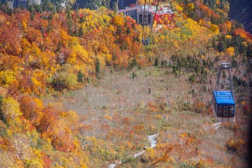 富山県黒部平の紅葉 富山県黒部平の紅葉 秋色,赤,カラフルの写真素材
