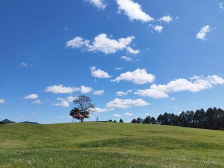 青い空と雲と芝生 青い空と雲と芝生 空,木,風景の写真素材