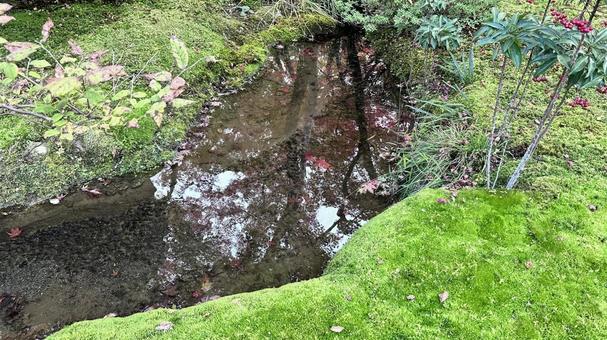 秋の自然景色1 秋の自然景色1の写真