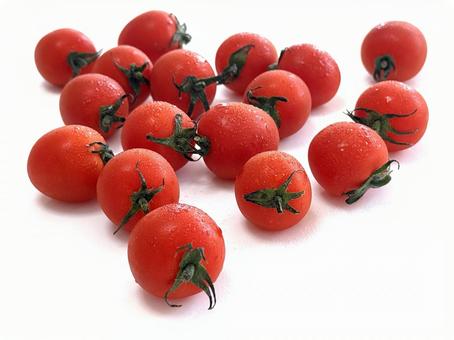 新鮮な日本のプチトマトたくさん 鮮やか,新鮮,赤の写真素材