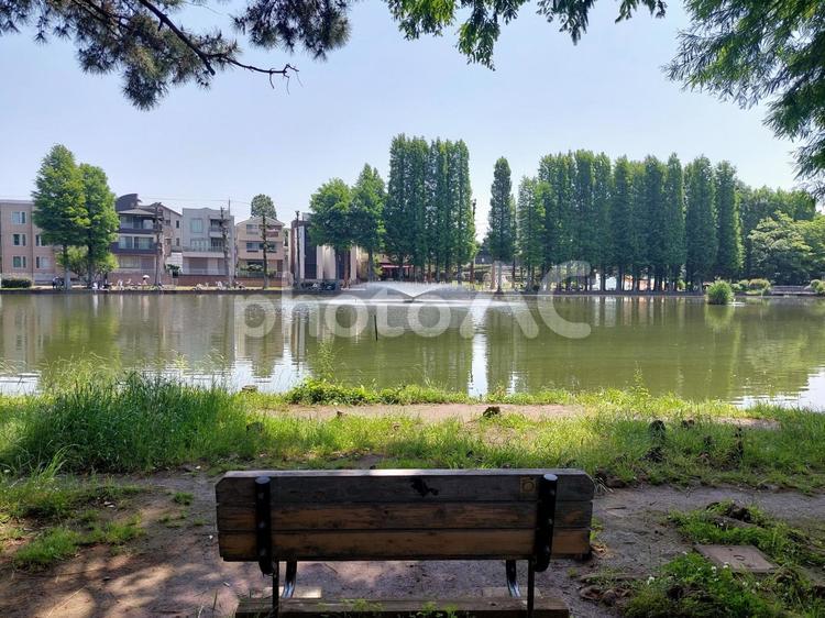 晴れた日の公園の噴水とベンチ ベンチ,腰掛け,椅子の写真素材