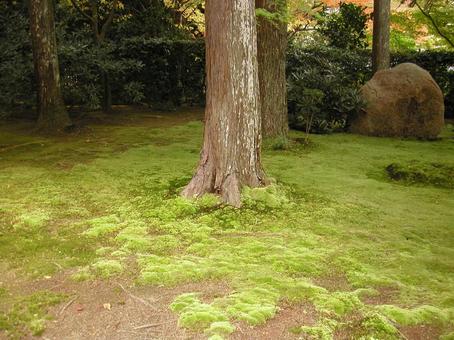 京都 大原 京都 大原の写真