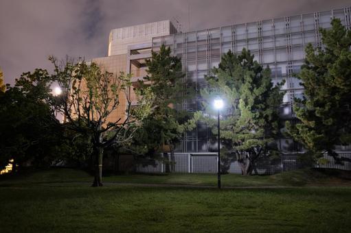 猿江恩賜公園　夜景　2025年 猿江恩賜公園,夜,公園の写真素材