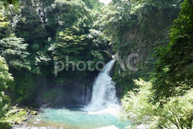 大滝と水色に煌めく水面 水飛沫,滝,大滝の写真素材