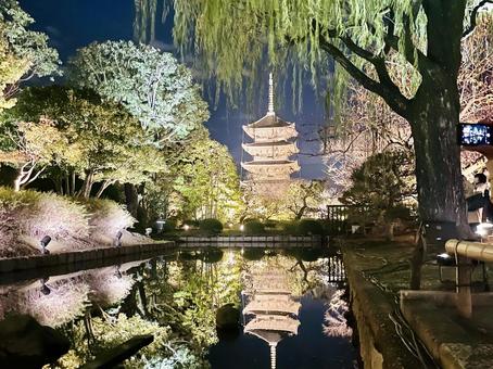 東寺 京都 東寺 京都 東寺,京都,寺の写真素材