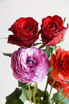 薔薇とラナンキュラス ばら,赤い薔薇,花の写真素材