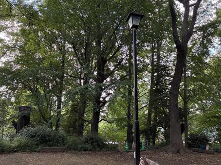 摺鉢山古墳(上野公園) 摺鉢山古墳(上野公園)の写真