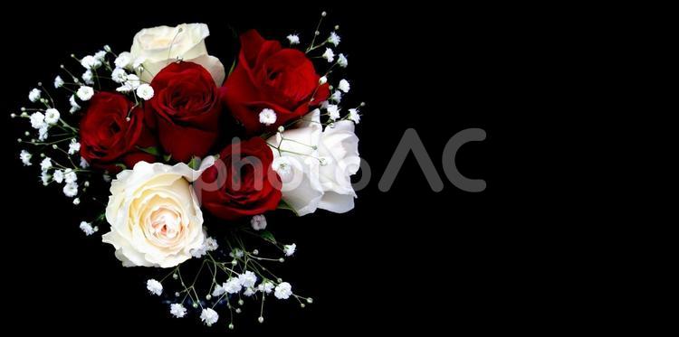 赤と白のバラほか花束イメージ素材 花,赤,バラの写真素材