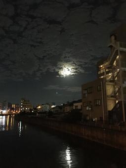 照片, 天空, 江面, 街道, 