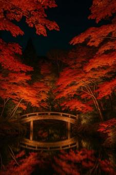 夜の紅葉と自然風景 夜の紅葉と自然風景の写真