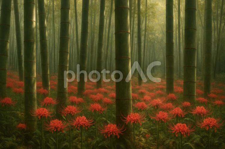 竹林と彼岸花の日本の秋風景 竹林,彼岸花,赤の写真素材