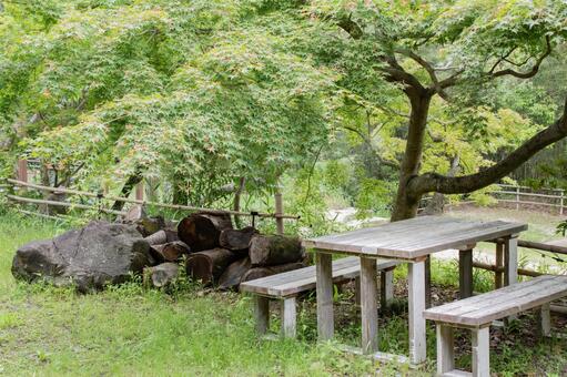 緑豊かな公園の休憩スペース 新緑,緑,木々の写真素材