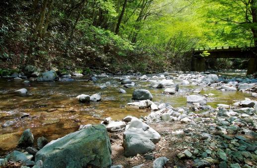 川と石と緑 川と石と緑 川,風景,自然の写真素材