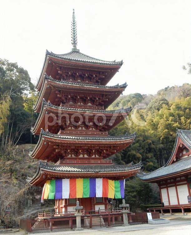 【風景写真】明王院の風景 風景,自然,風景写真の写真素材