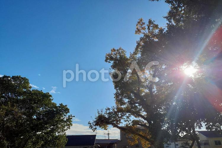 鮮やかな太陽と街並み　日差し 朝焼け,たそがれ,オレンジの写真素材