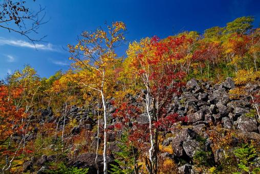 千畳くずれと紅葉 千畳くずれと紅葉 千畳くずれ,紅葉,然別の写真素材