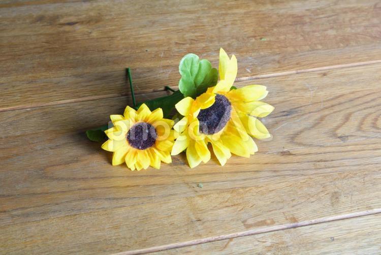 2輪のひまわり　背景テーブル 向日葵,ひまわり,花の写真素材