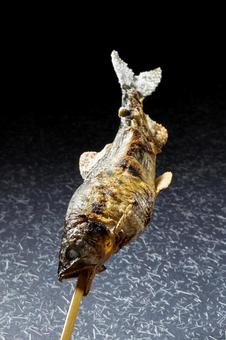 鮎の塩焼き 鮎の塩焼き 鮎の塩焼き,鮎,一匹の写真素材