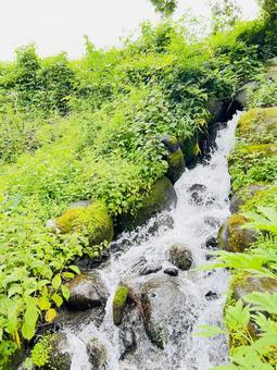 緑豊かな森を流れる苔岩の清流 緑豊かな森を流れる苔岩の清流 小川,渓流,清流の写真素材