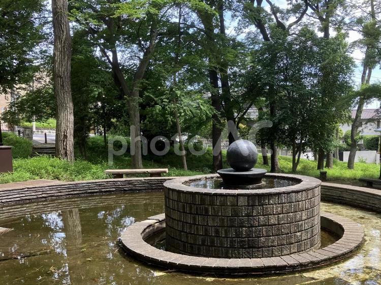 宝来公園　大田区田園調布 公園,宝来公園,田園調布の写真素材