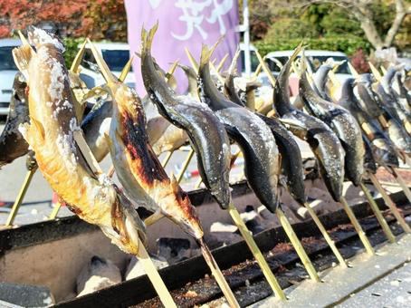 焼き台に並ぶ鮎の塩焼き2 鮎の塩焼き,鮎,あゆの写真素材