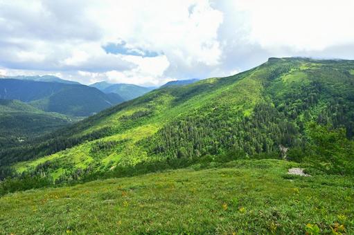 雲ノ平と北アルプスの山々 北アルプス,山並み,斜面の写真素材