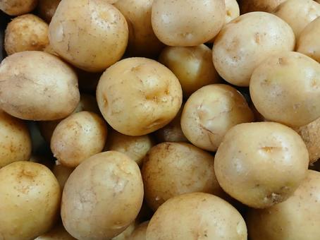 ジャガイモ ランダム ジャガイモ ランダム ジャガイモ,野菜,ポテトの写真素材
