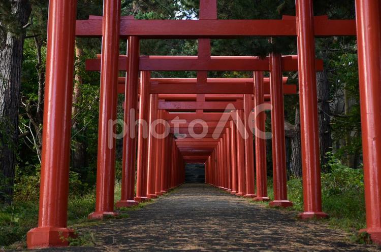 北海道　伏見稲荷神社 パワースポット,神社,伏見稲荷神社の写真素材