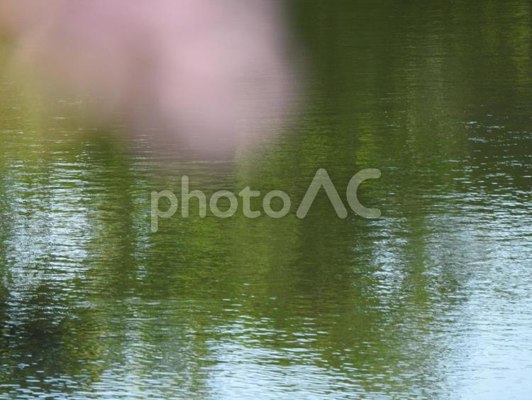 9月の風景 自然,風景,緑の写真素材