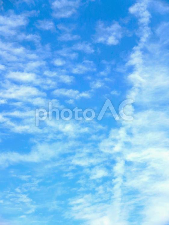 爽やかな秋の空と雲 空,青空,背景の写真素材