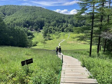 入笠山の入笠湿原風景 入笠山の入笠湿原風景の写真