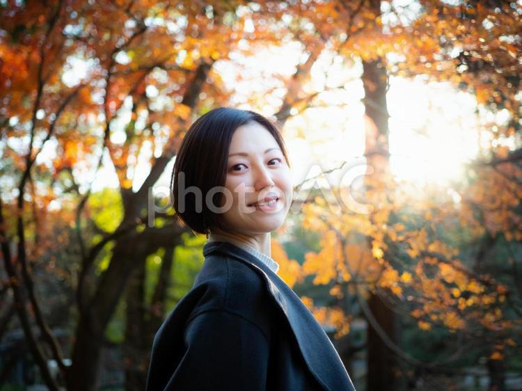 31：紅葉の公園を散策する女性 紅葉,公園,散策の写真素材