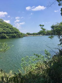 山間部の貯水池 貯水池,水辺,湖の写真素材