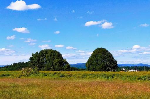 2025年9月の里山32 休耕地,草地,野原の写真素材